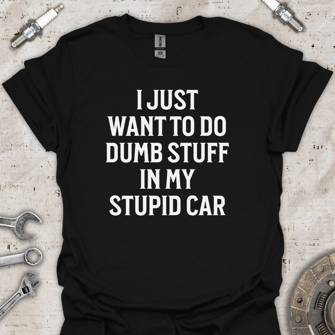 Dumb Stuff Stupid Car