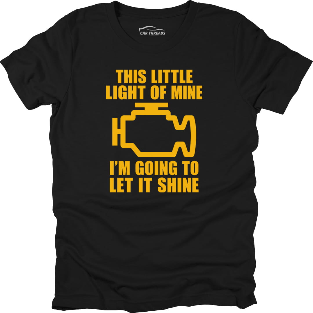 The Little Light Of Mine