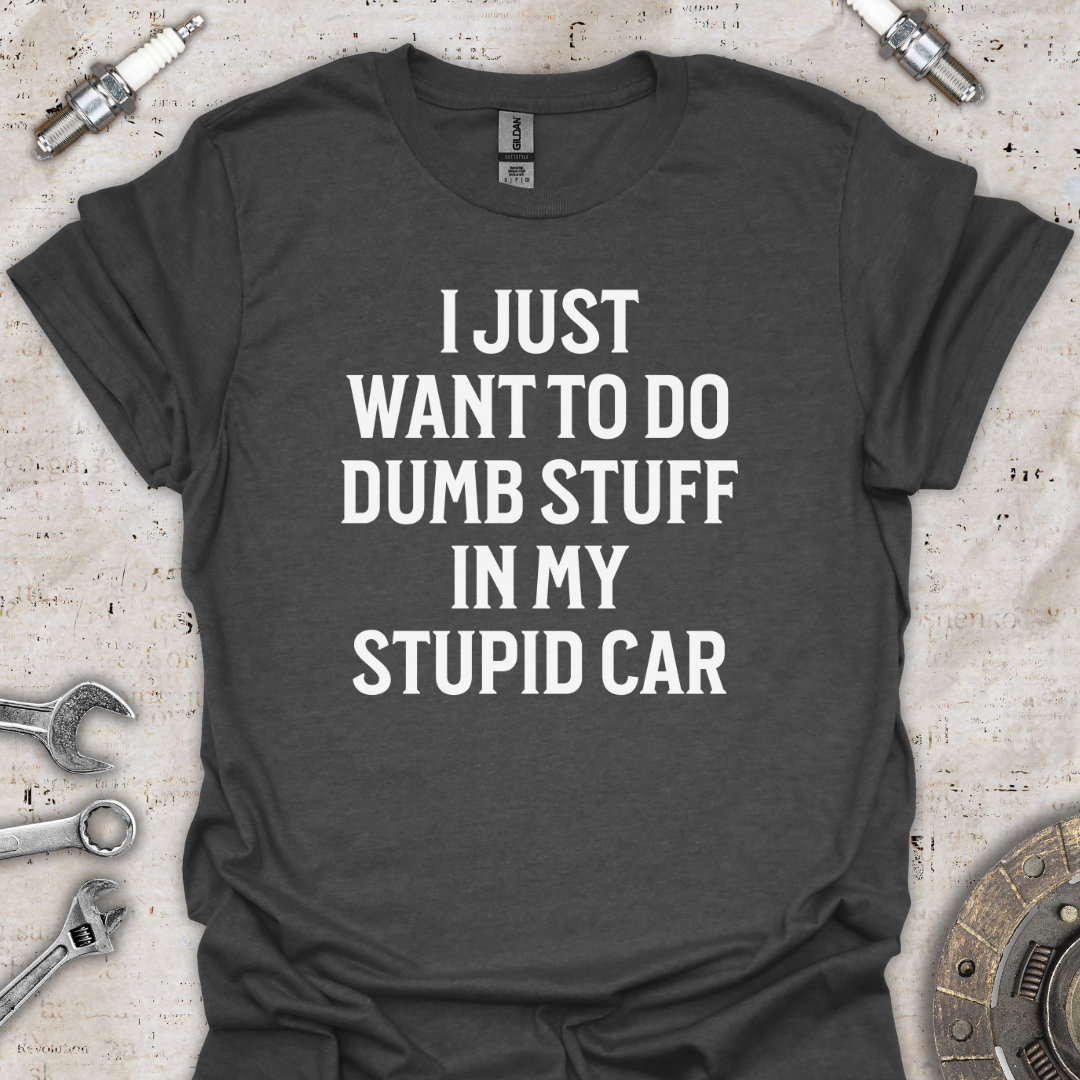 Dumb Stuff Stupid Car