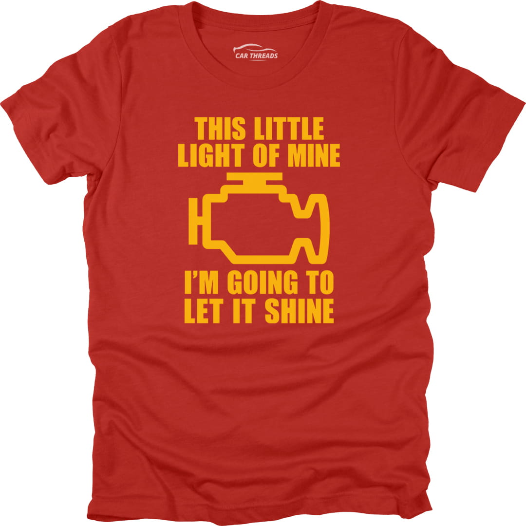 The Little Light Of Mine