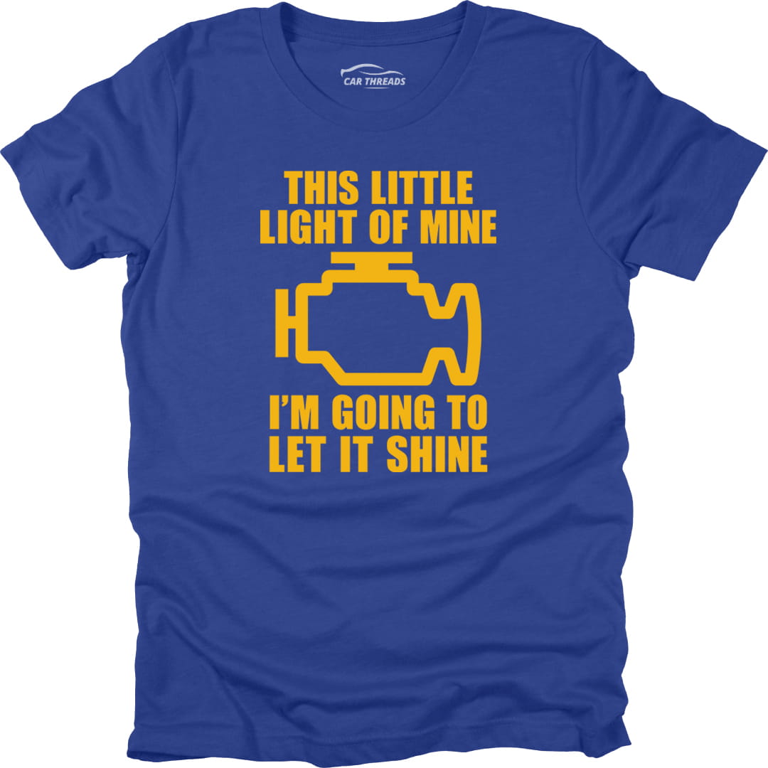 The Little Light Of Mine