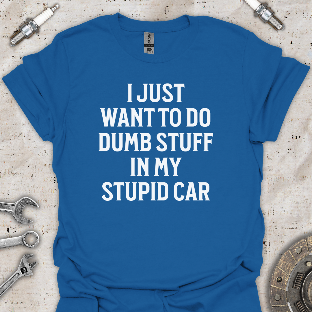 Dumb Stuff Stupid Car