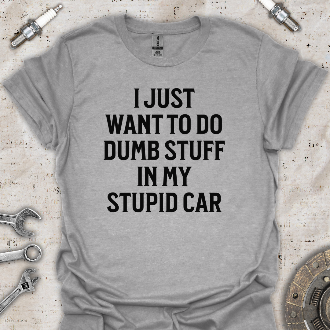 Dumb Stuff Stupid Car