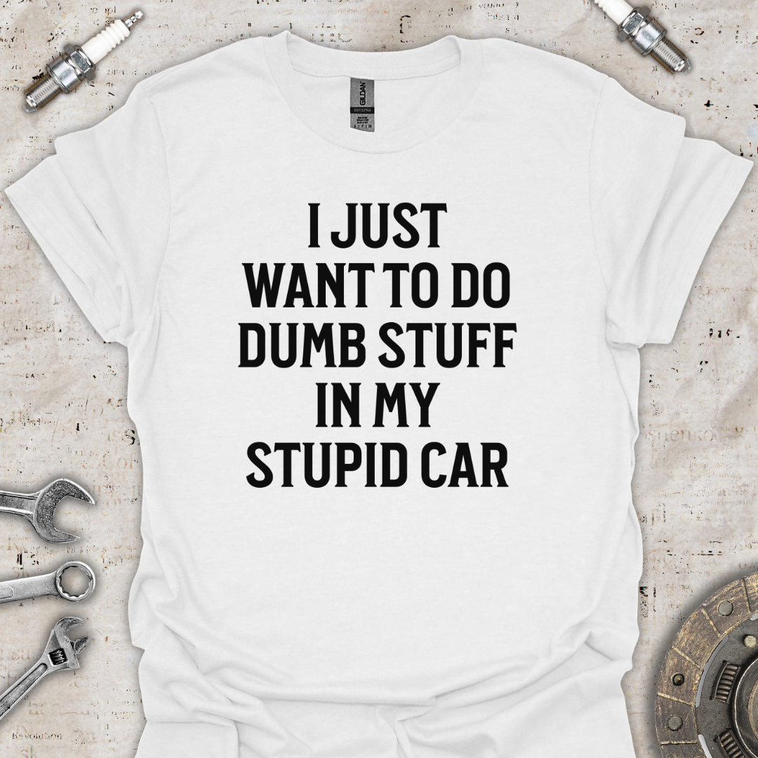 Dumb Stuff Stupid Car